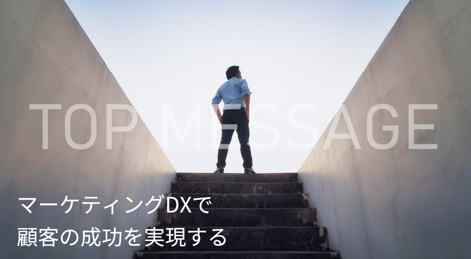 株式会社クロス マーケティンググループ